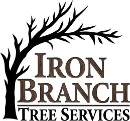 Iron Branch Tree Services tree care